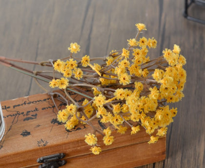 Yellow Baby’s Breath 20cm #94859