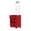 Shopping Trolley w Foldable Rect. Bag