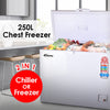 250L Chest Freezer CFC Free PPFZ250